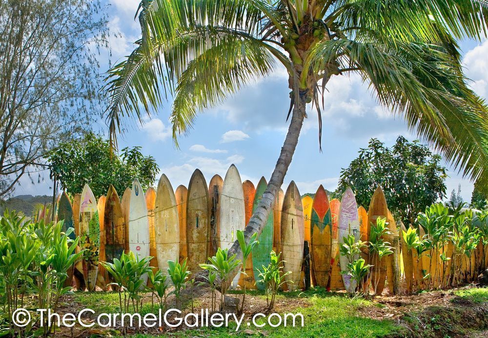 Surfboard Heaven