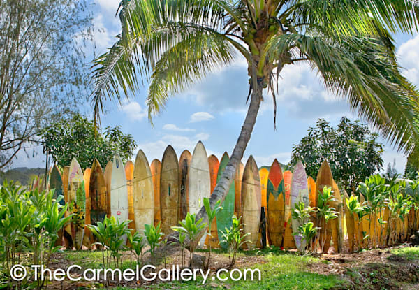 Surfboard Heaven