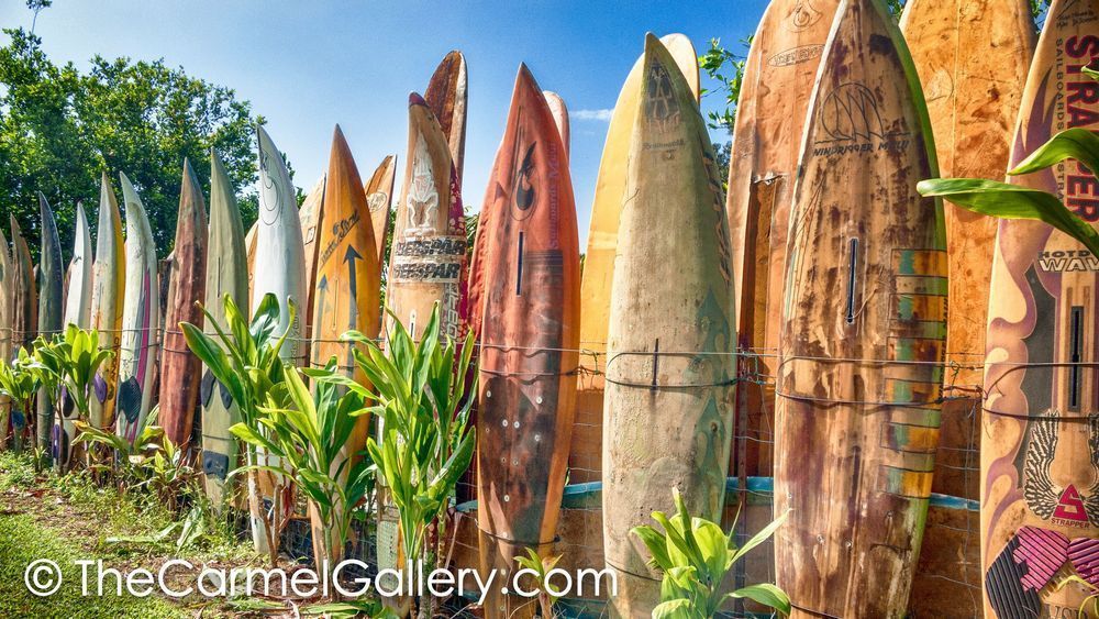 Surfboard Shimmer