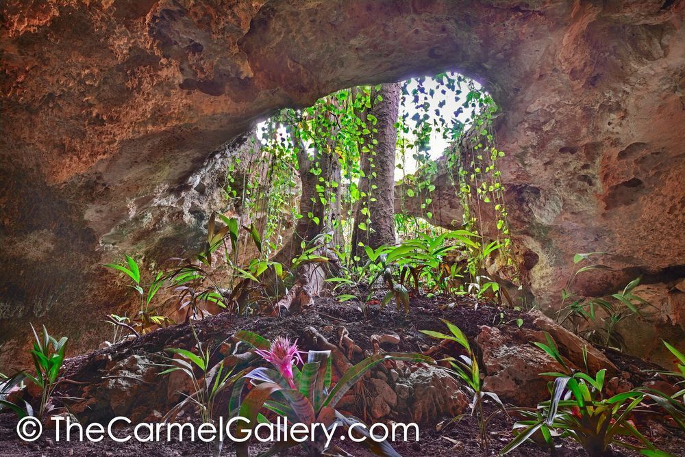 Subterranean Garden