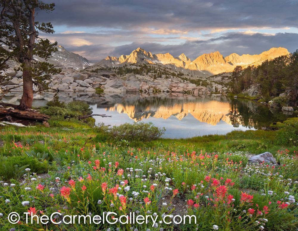 Summer Dawn High Sierra