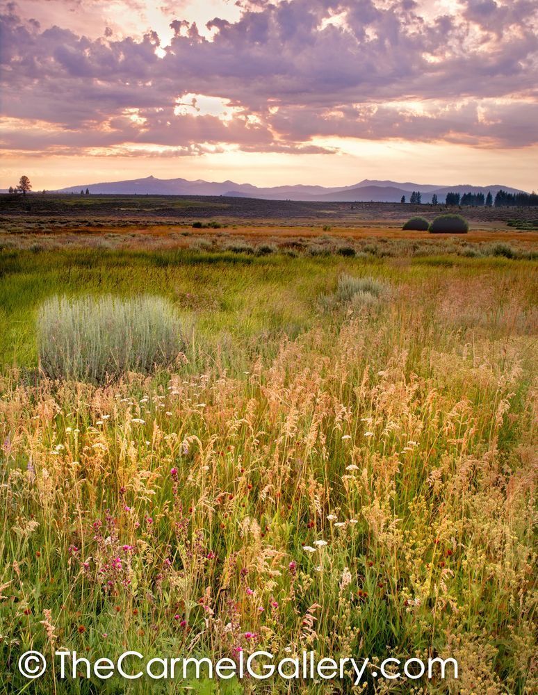 Martis Valley Photo