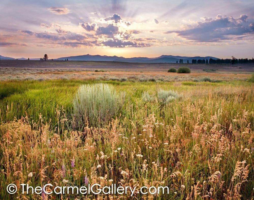 Summer Sunset, Martis Valley