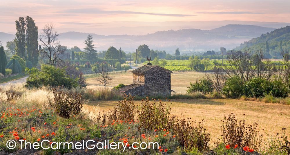 Summer Provence Hills