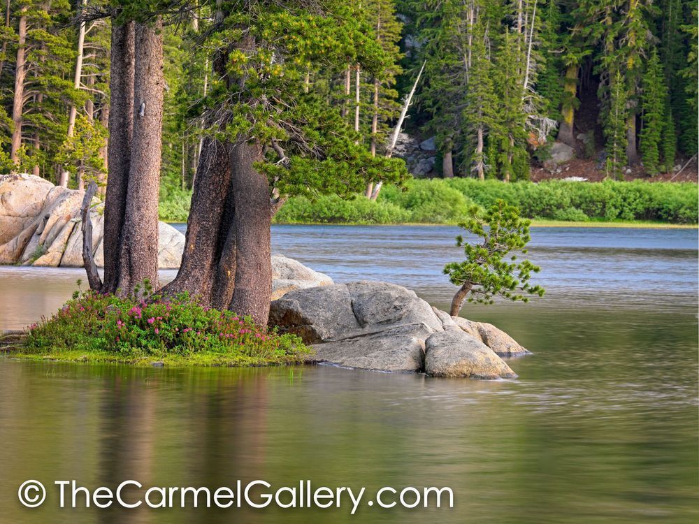 Summer Pond, High Sierra