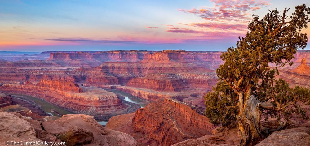 Spring Sunrise, Canyonlands Photography Art | The Carmel Gallery
