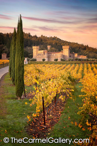 Sunrise Castello di Amorosa