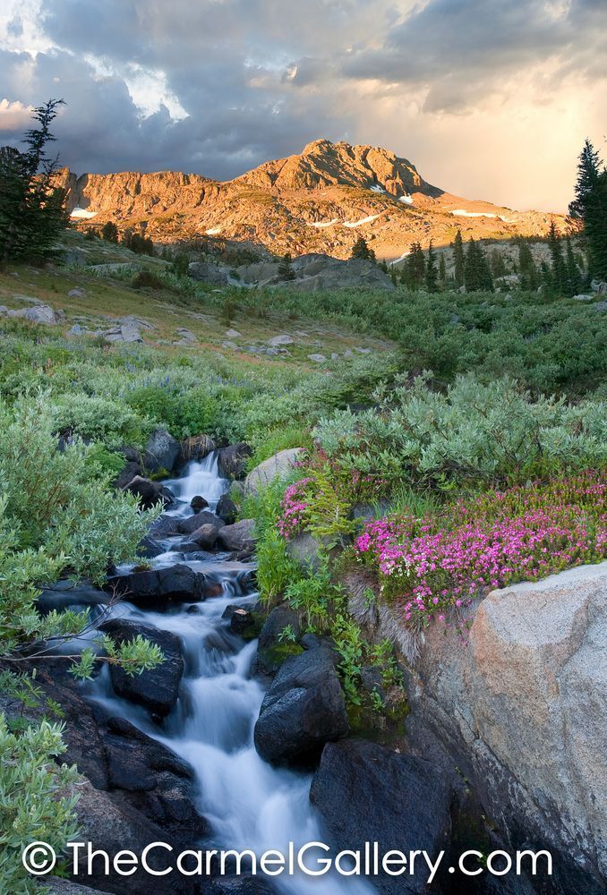 Sunrise Carson Pass