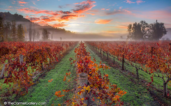 Sunrise Mist