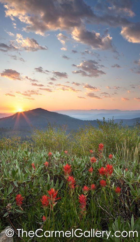 Sunrise Mount Rose
