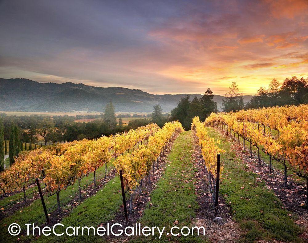 Sunrise Napa Valley
