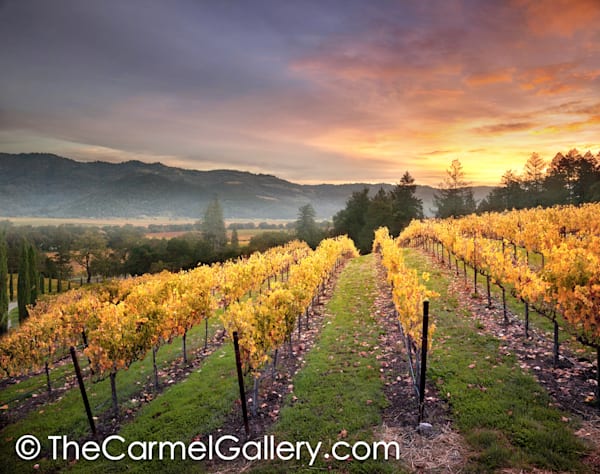 Sunrise Napa Valley