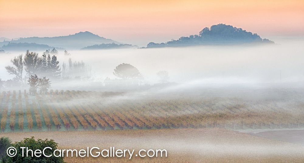 Sunrise Fog