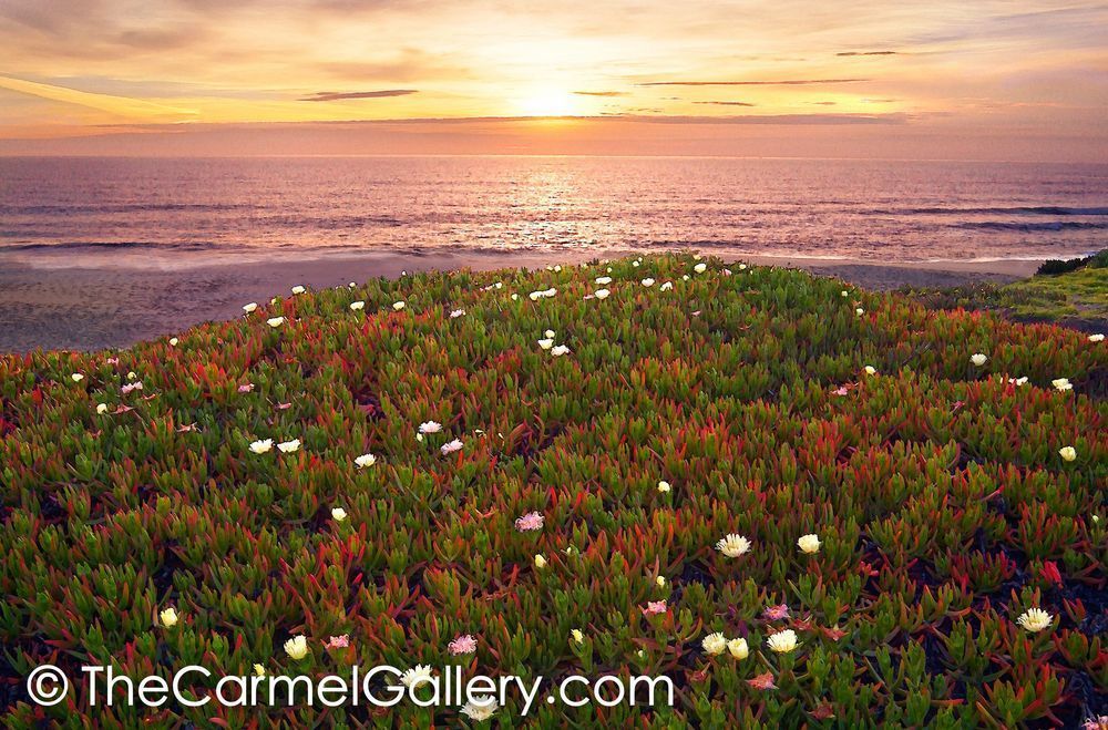 Sunset Half Moon Bay