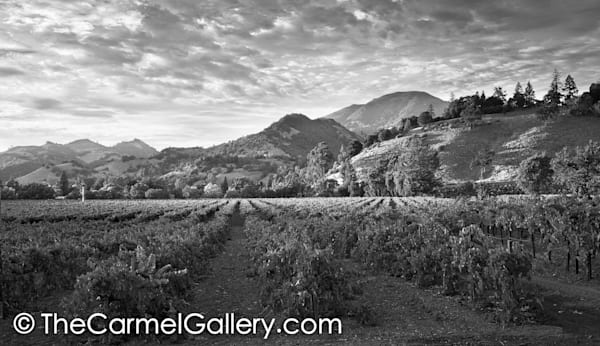 Sunset Mt St Helena BW