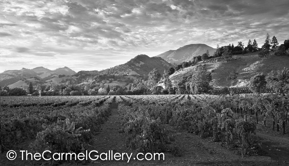 Sunset Mt St Helena BW