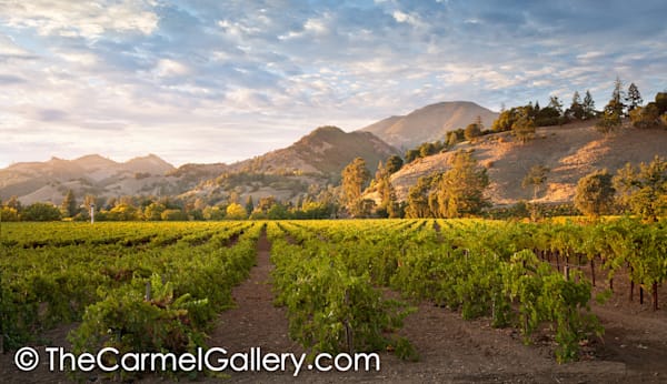 Sunset Mt St Helena
