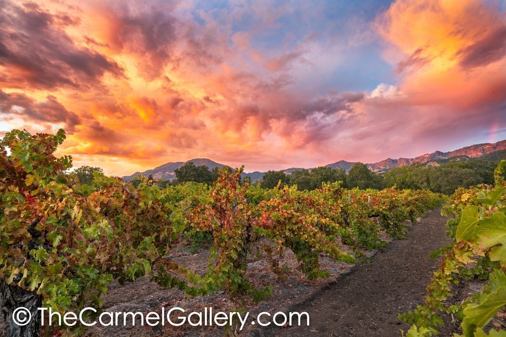 Sunset Sky, Calistoga