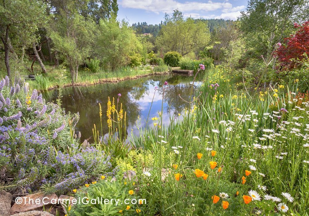Spring At Hans Fahden Photography Art | The Carmel Gallery