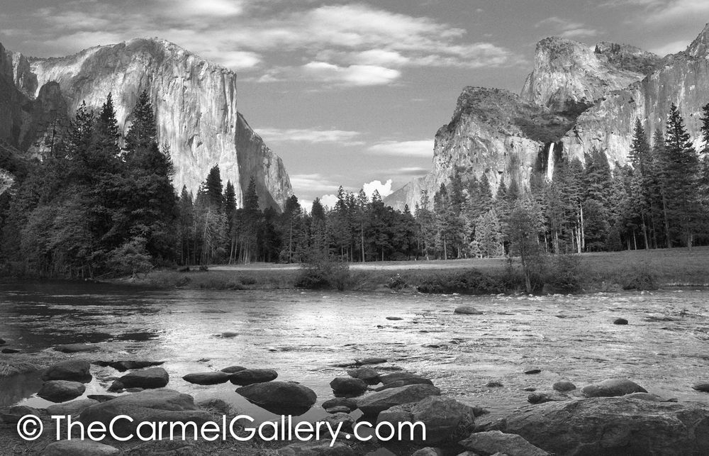 Spring in Yosemite Valley BW
