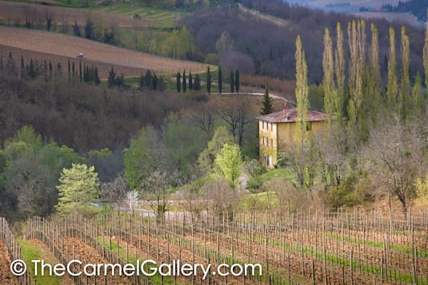 Spring Evening Tuscany