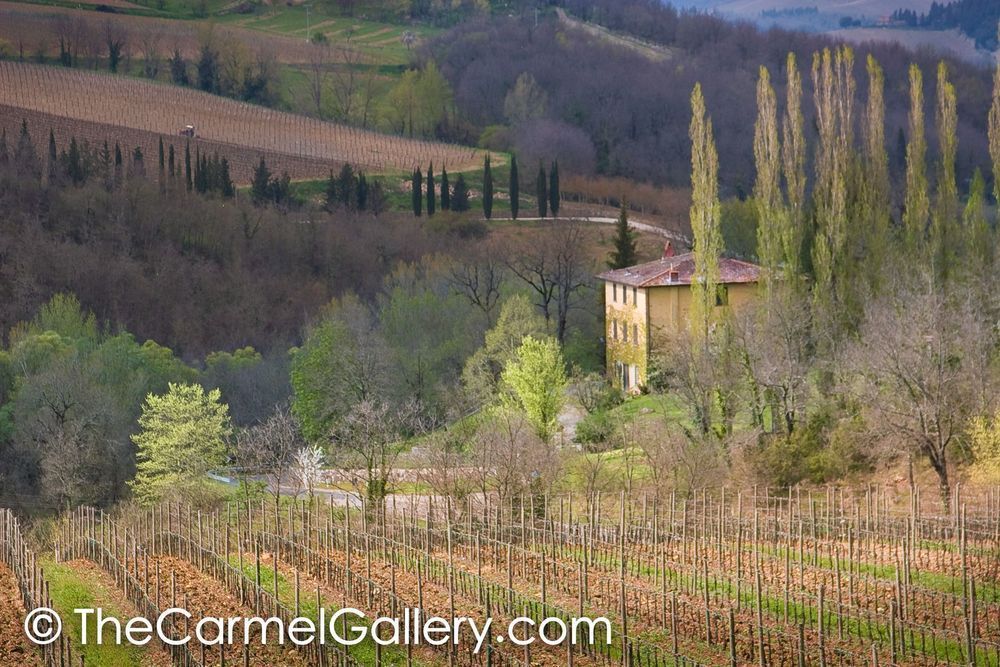 Spring Evening Tuscany