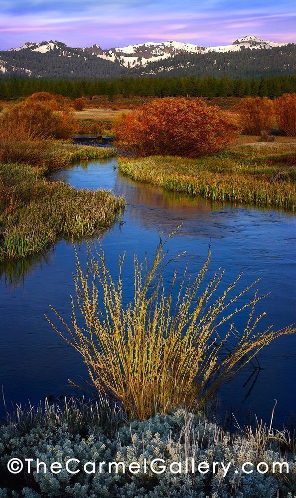 Spring Morning Martis Valley Photography Art | The Carmel Gallery