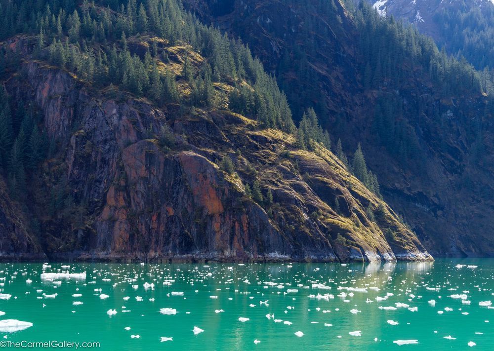 Spring Sun Misty Fjords Photography Art | The Carmel Gallery