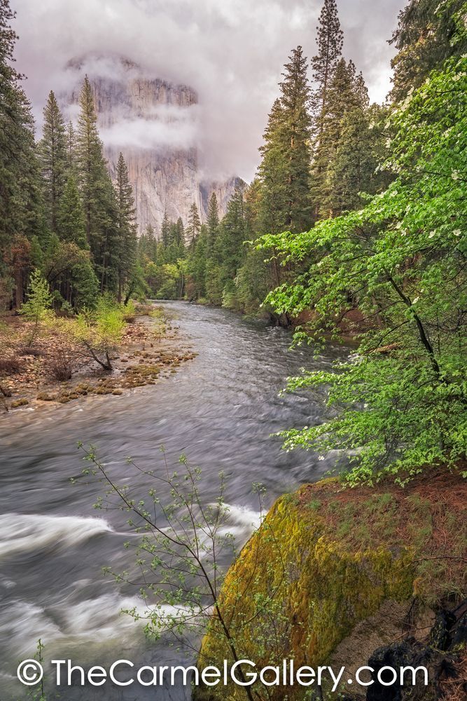 Spring Storm, Yosemite