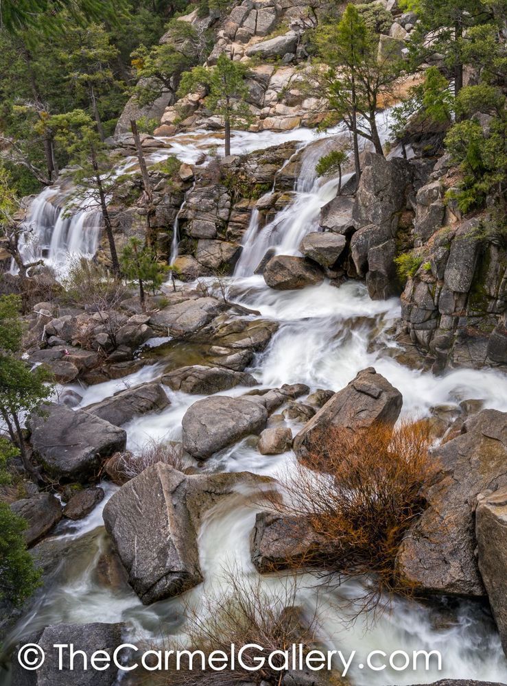 Spring Torrent