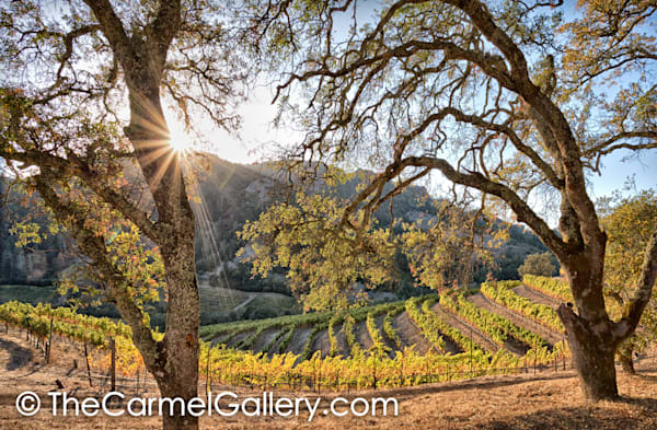 Setting Sun Wine Country