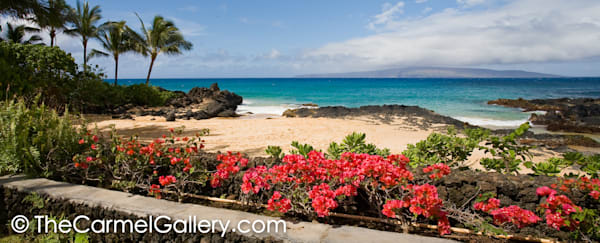 Secret Beach