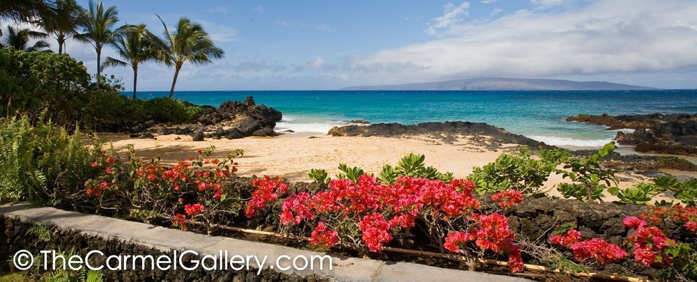 Secret Beach