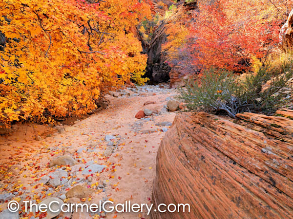 Slot Canyon in Autumn