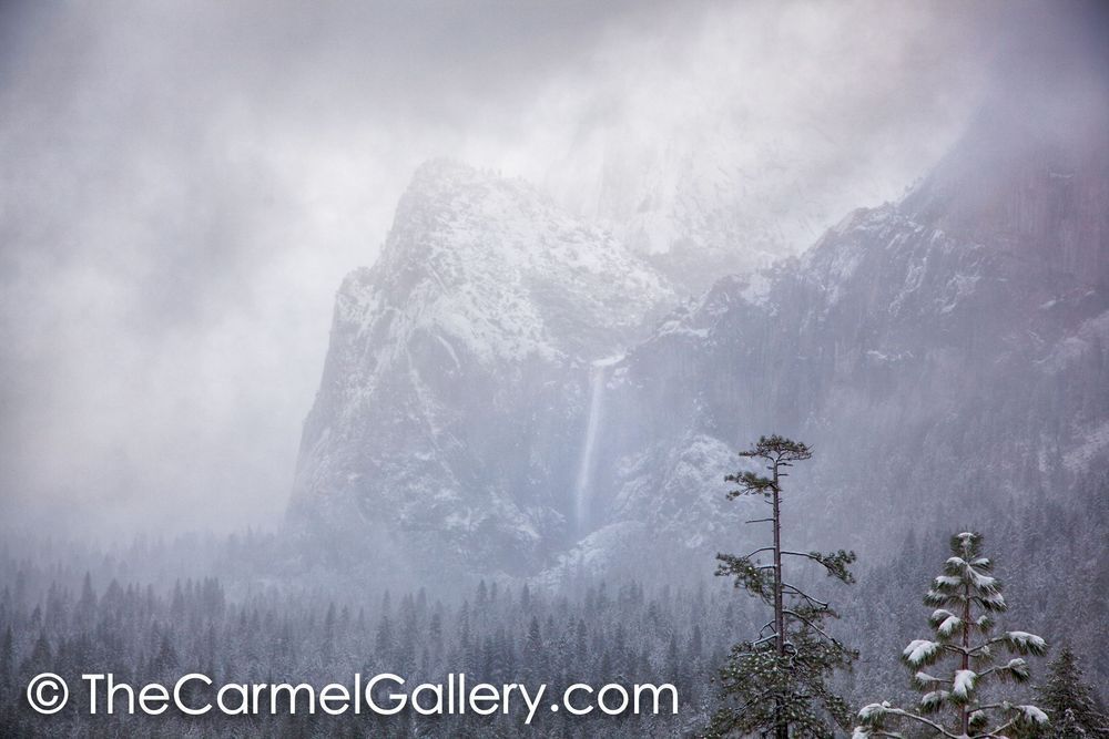 Snow Squall Bridalveil