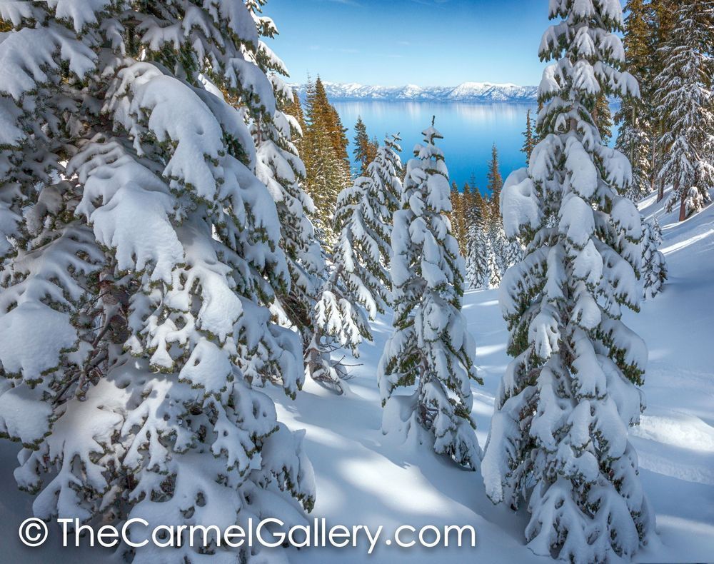 Snowy Calm Tahoe