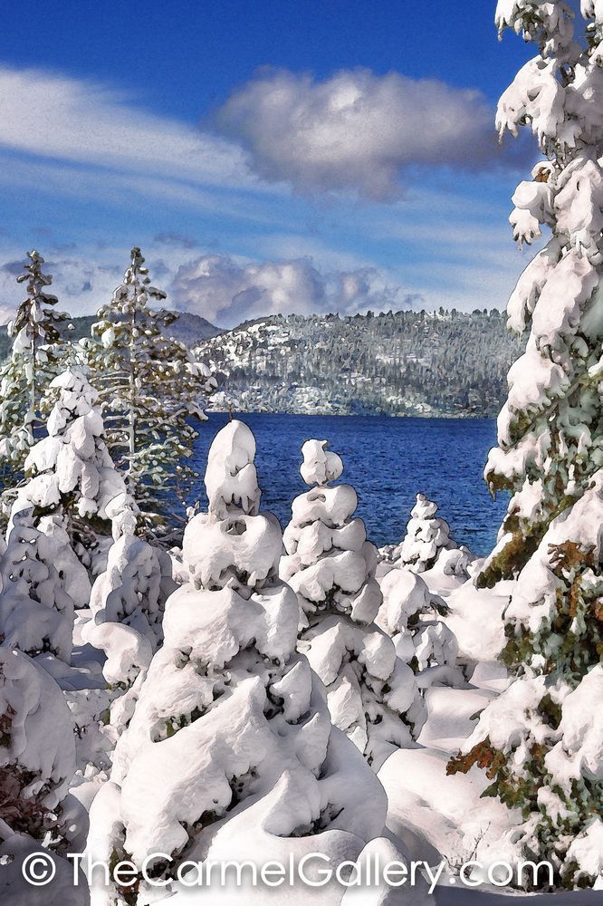 Snowy Morning Lake Tahoe