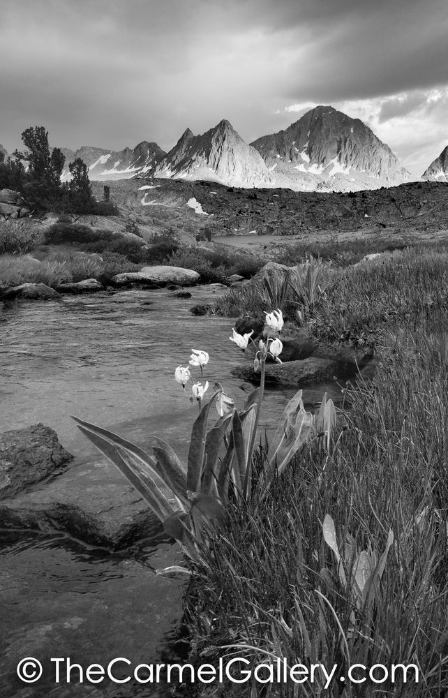 Shooting Star Sunset BW