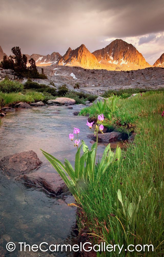 Shooting Star Sunset
