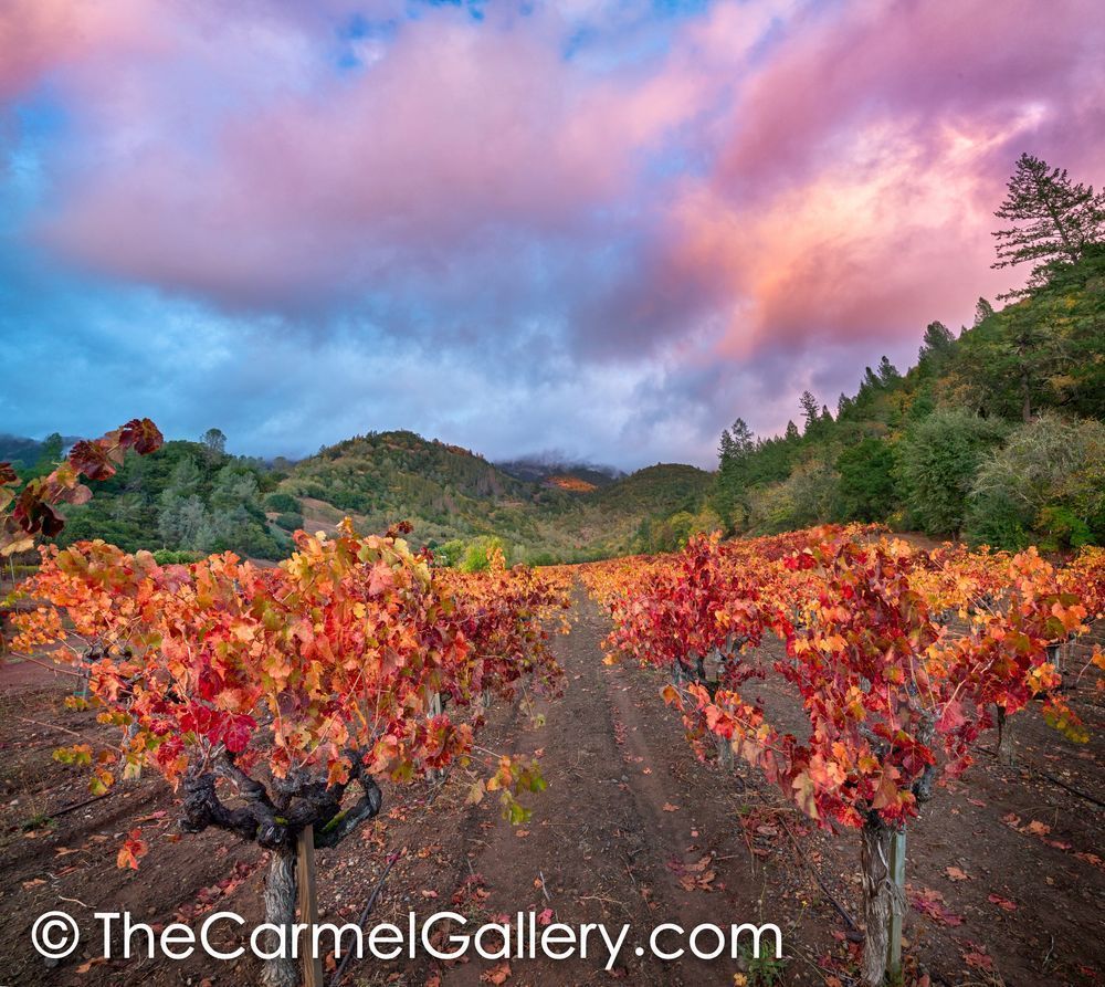 Shades of Autumn