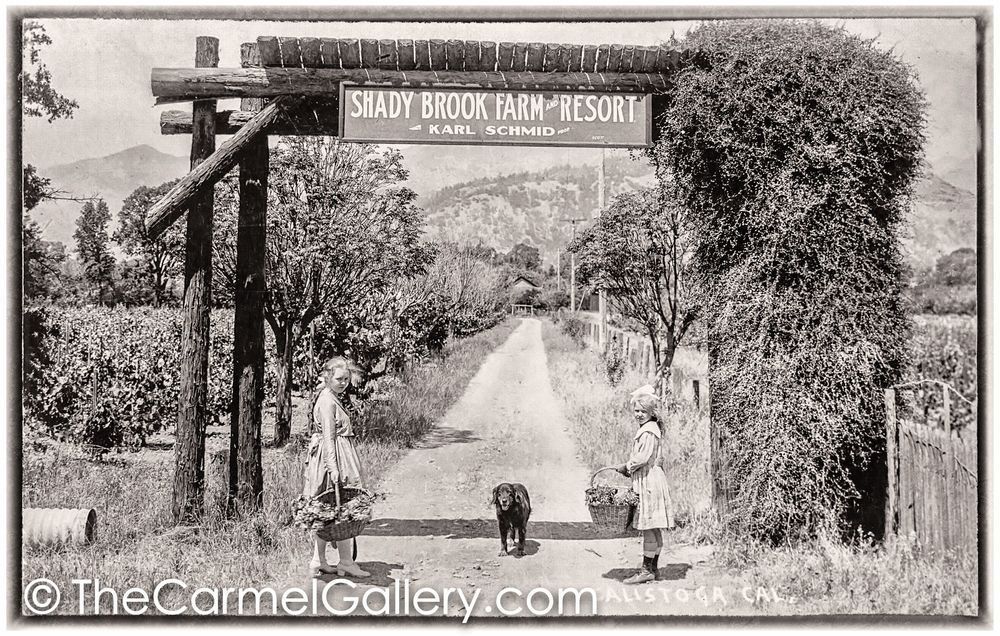Shady Brook