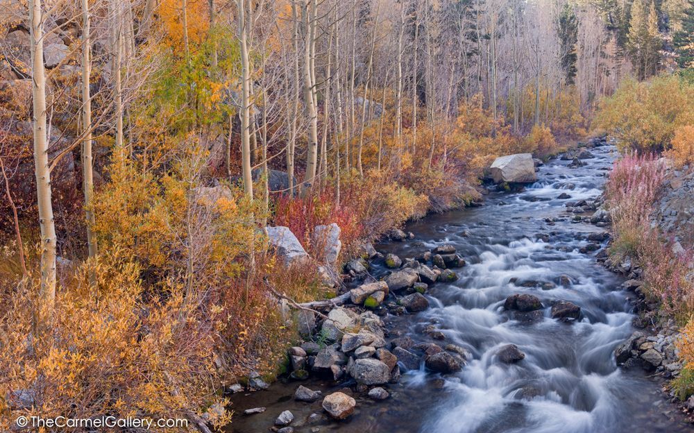 Sierra Cascade