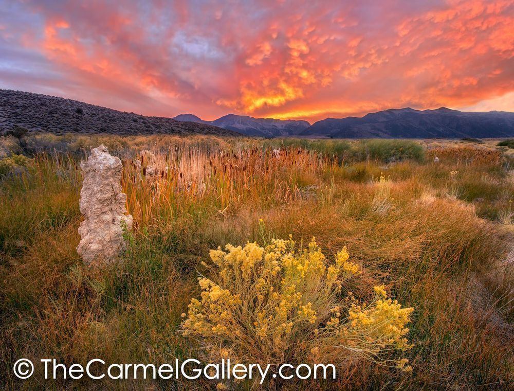 Sierra Sky, Mono Lake