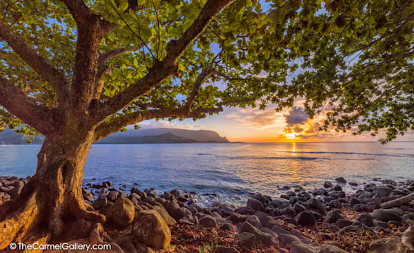Puu Poa Sunset Photo