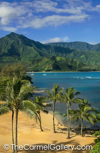 Princeville Beach vertical