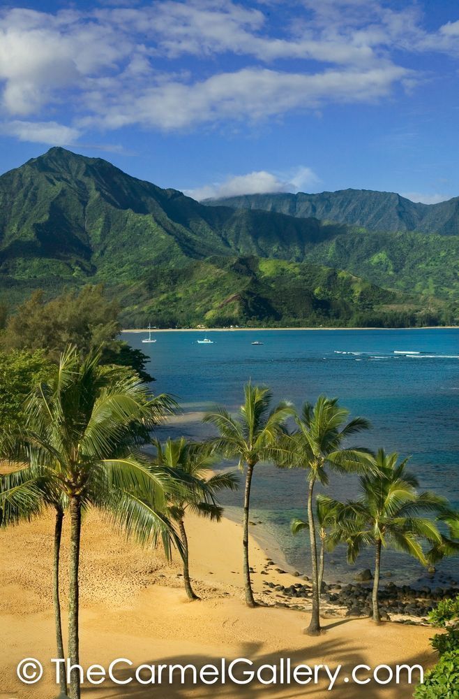 Princeville Beach vertical