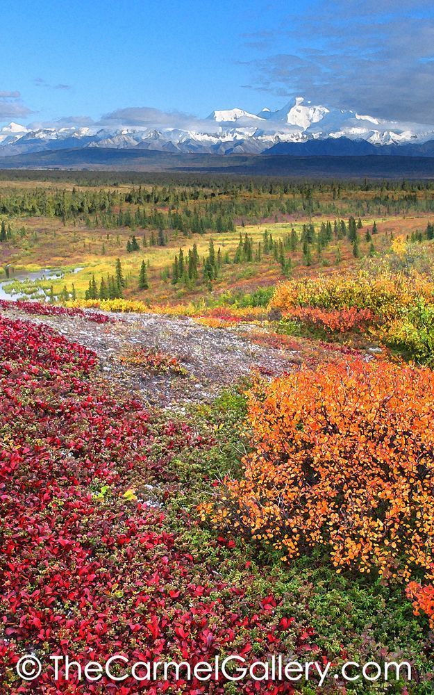 Patterns of Autumn