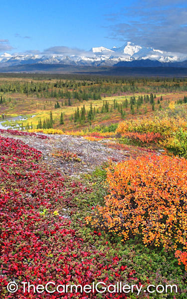 Patterns of Autumn