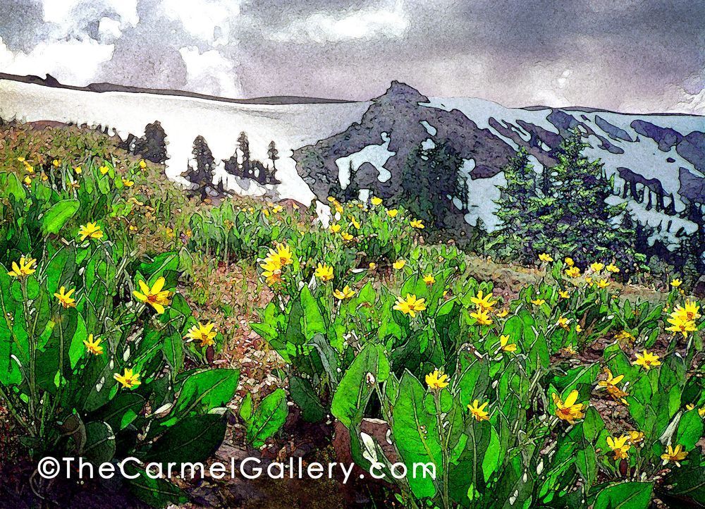 Pacific Crest Mule Ears Photography Art | The Carmel Gallery