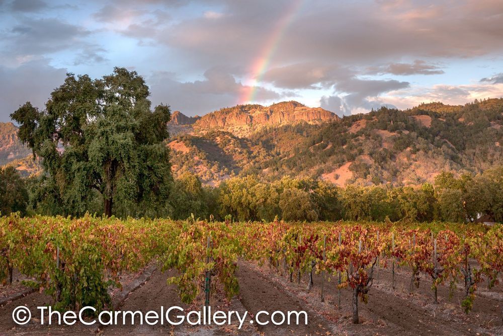Palisade Rainbow